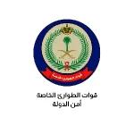 امن الدولة